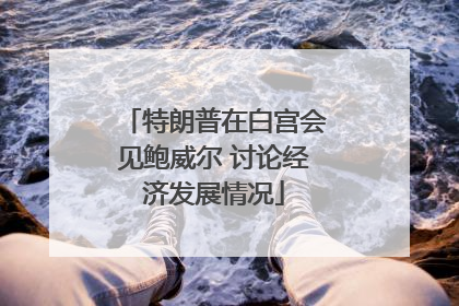 特朗普在白宫会见鲍威尔 讨论经济发展情况